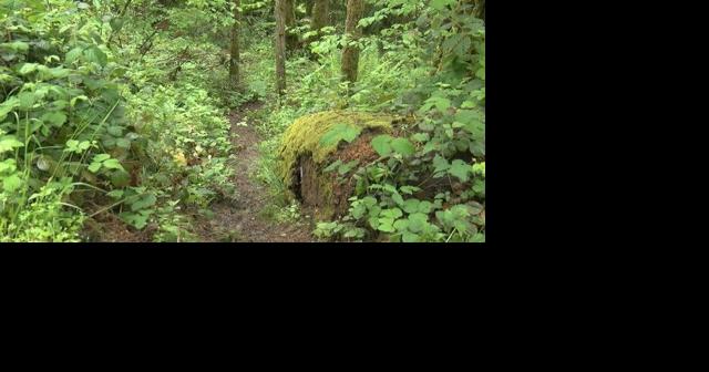 Police investigating human remains found in woods near Lowell; locals speak out - Vimarsana News