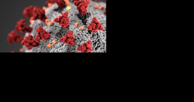 Oregon Health Authority creates plan for end of Federal Public Health Emergency for COVID-19 - Vimarsana News