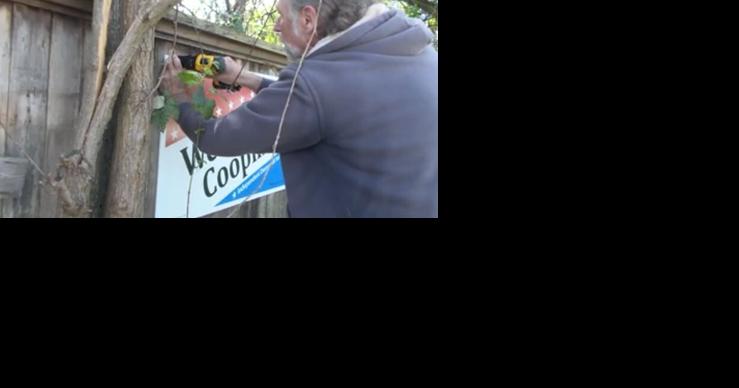Eugene city council candidate says more than a dozen of his campaign signs have disappeared - Vimarsana News