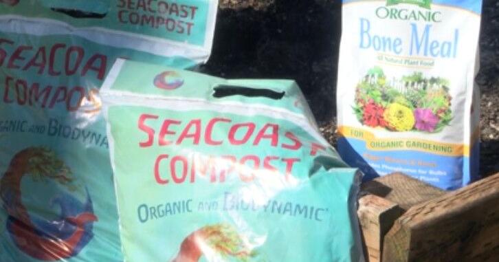 In the Garden: refresh old garden beds without replacing all the dirt