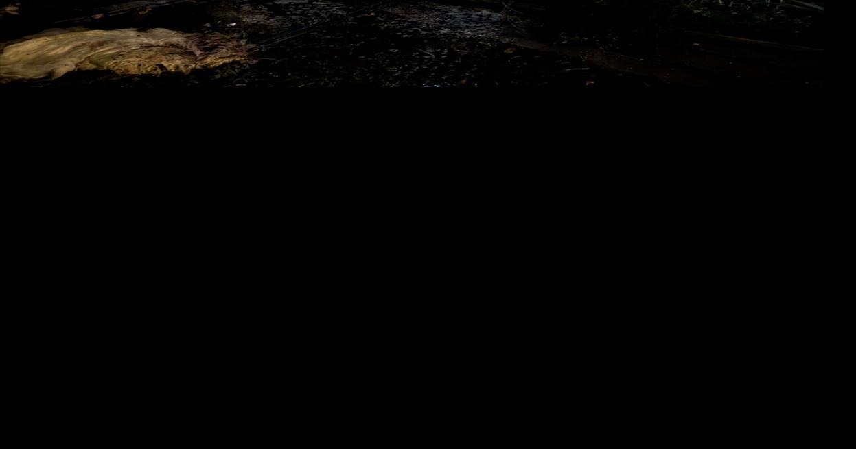 Late night explosion in Eugene sends 2 people to hospital