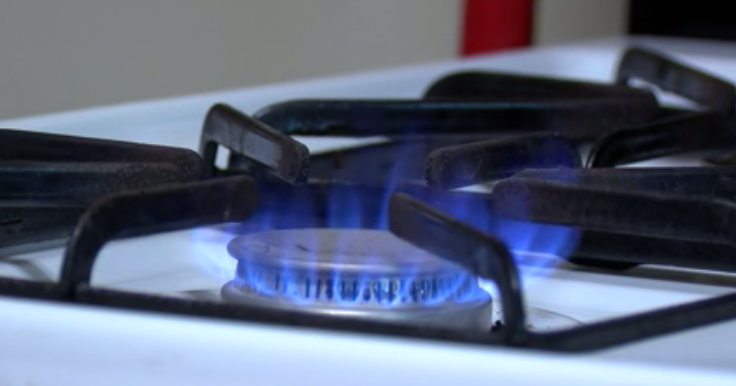 Local environmental organization demonstrates pollution from gas stoves - Vimarsana News
