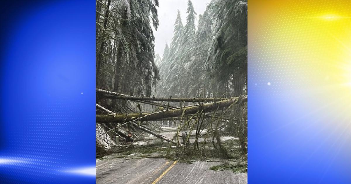 Veneta ODOT worker springs into action clearing Highway 126 West of ...