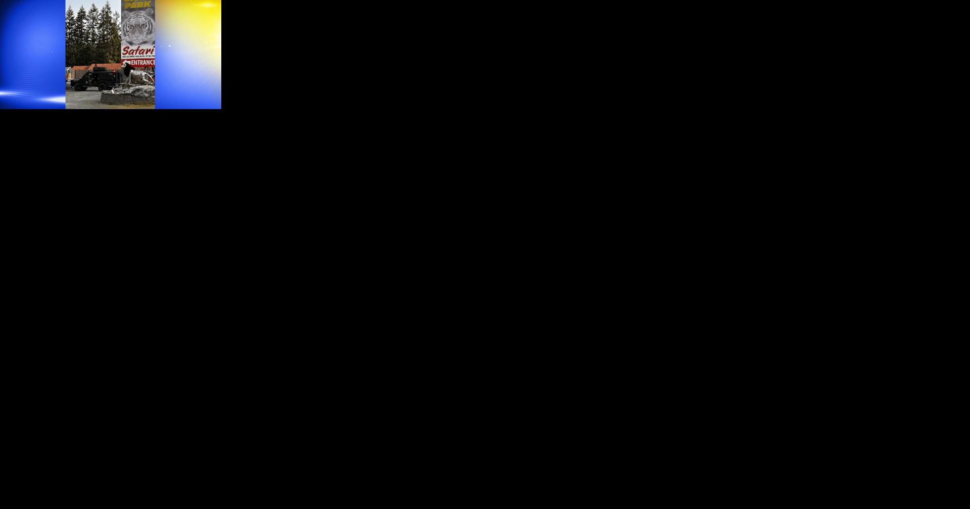 6827c8da636c4.image.jpg?crop=1920,1008,0