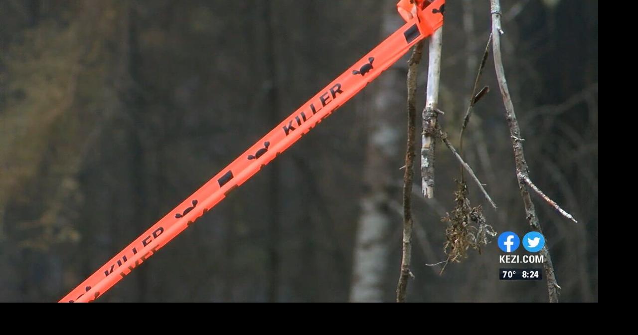 Crews work to find hazard trees as Cedar Creek Fire burns Video