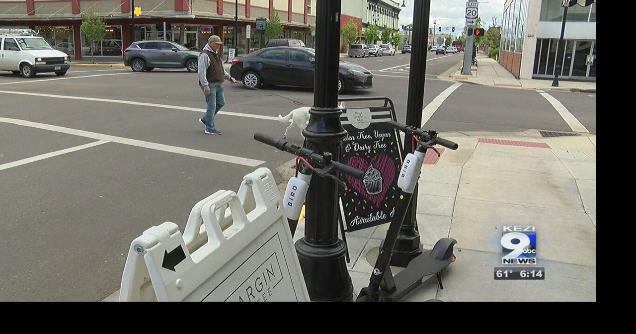 New electric scooters hit the streets of downtown Albany Video