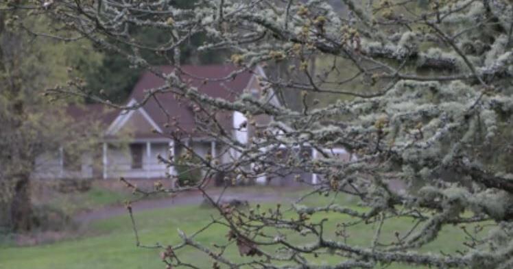 69cd70738c076.image.jpg?crop=748,393,0,1