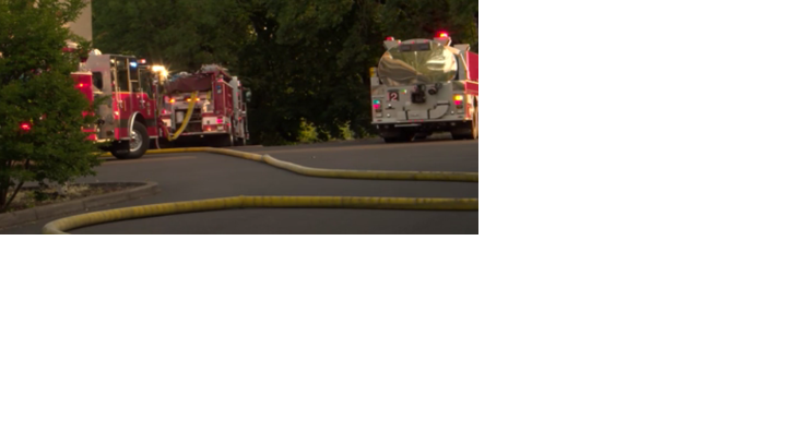 Eugene firefighters put out brush fire in difficult-to-reach area - Vimarsana News