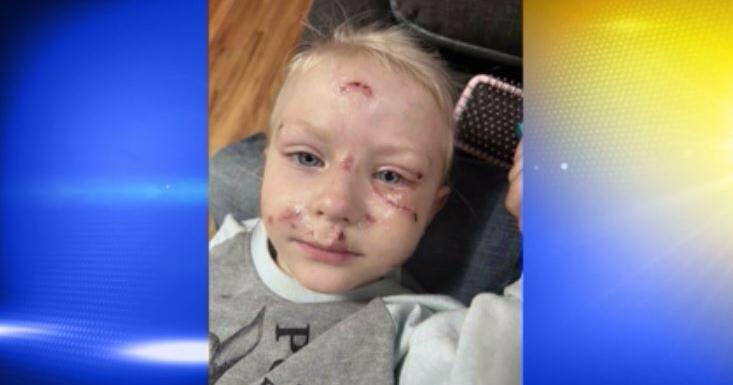Papa's Pizza to host fundraiser to help family of toddler attacked by ...