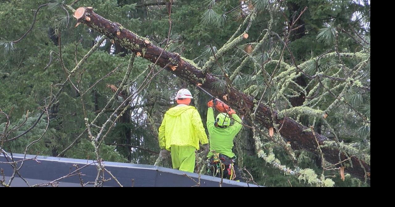 Crews Working To Remove Hundreds Of Downed Trees Kezi