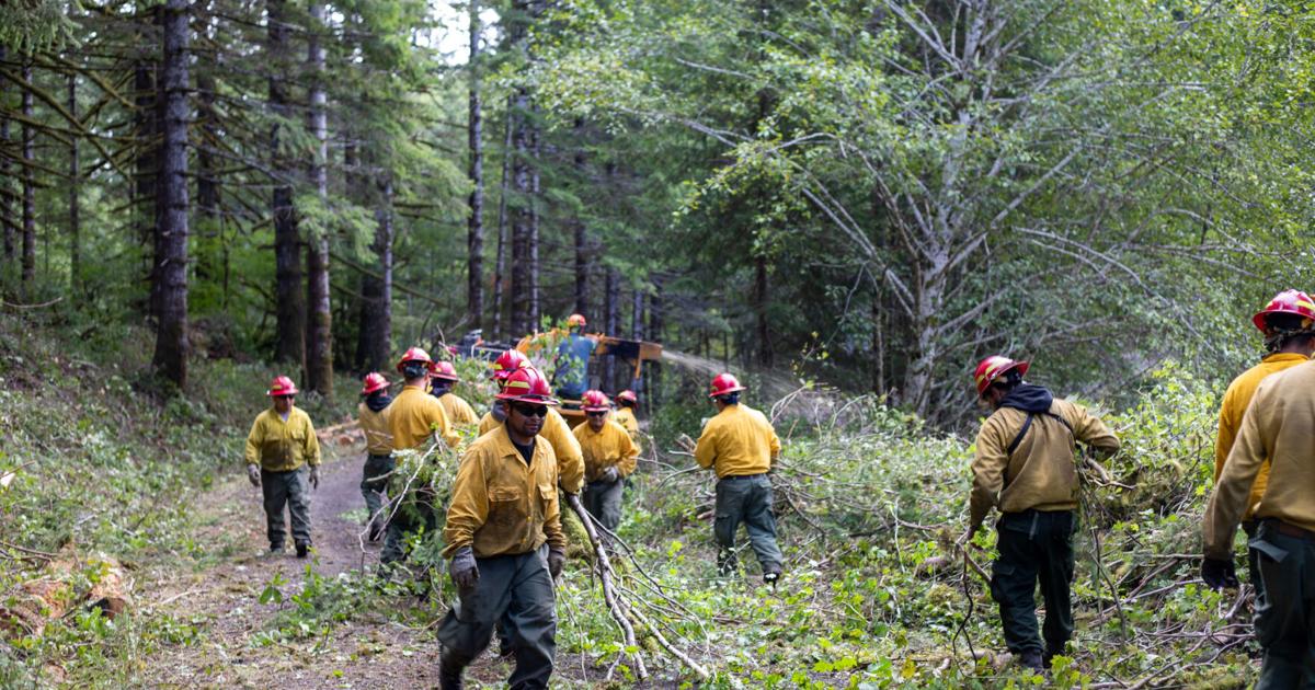 Three Bugles Fire Three Buttes Fire near Florence now at 117 acres and 26% containment ...