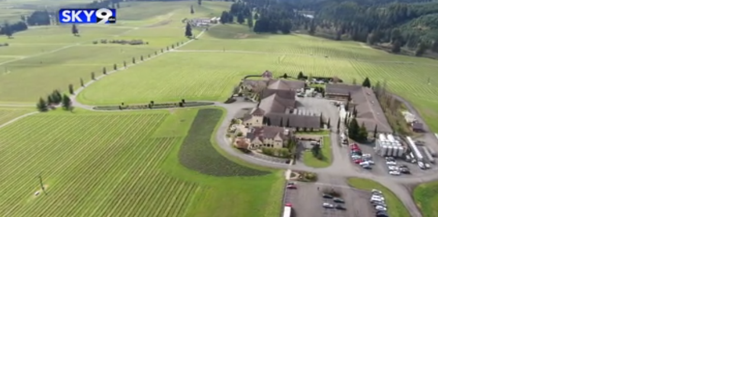 Local winery bouncing back after 2020 wildfires - Vimarsana News