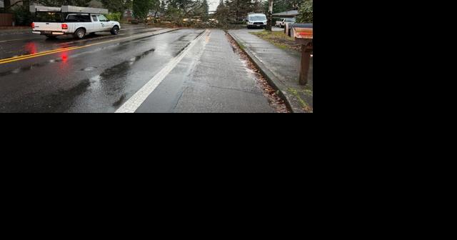 Downed tree cleared from Cal Young Road at Fir Acres Drive - Vimarsana News