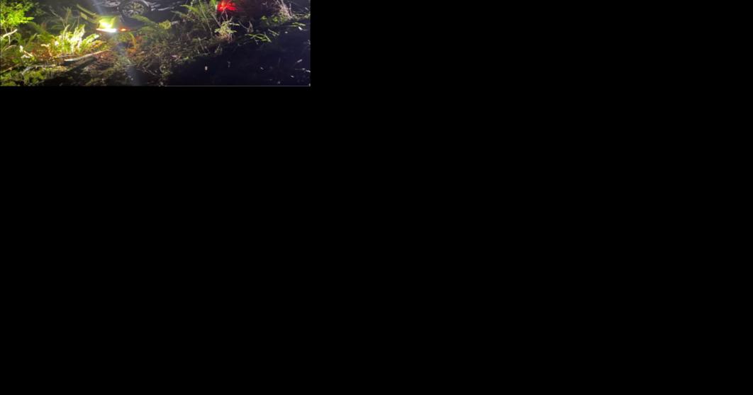 Coos County woman cited for DUII and driving while suspended following rollover crash - Vimarsana News