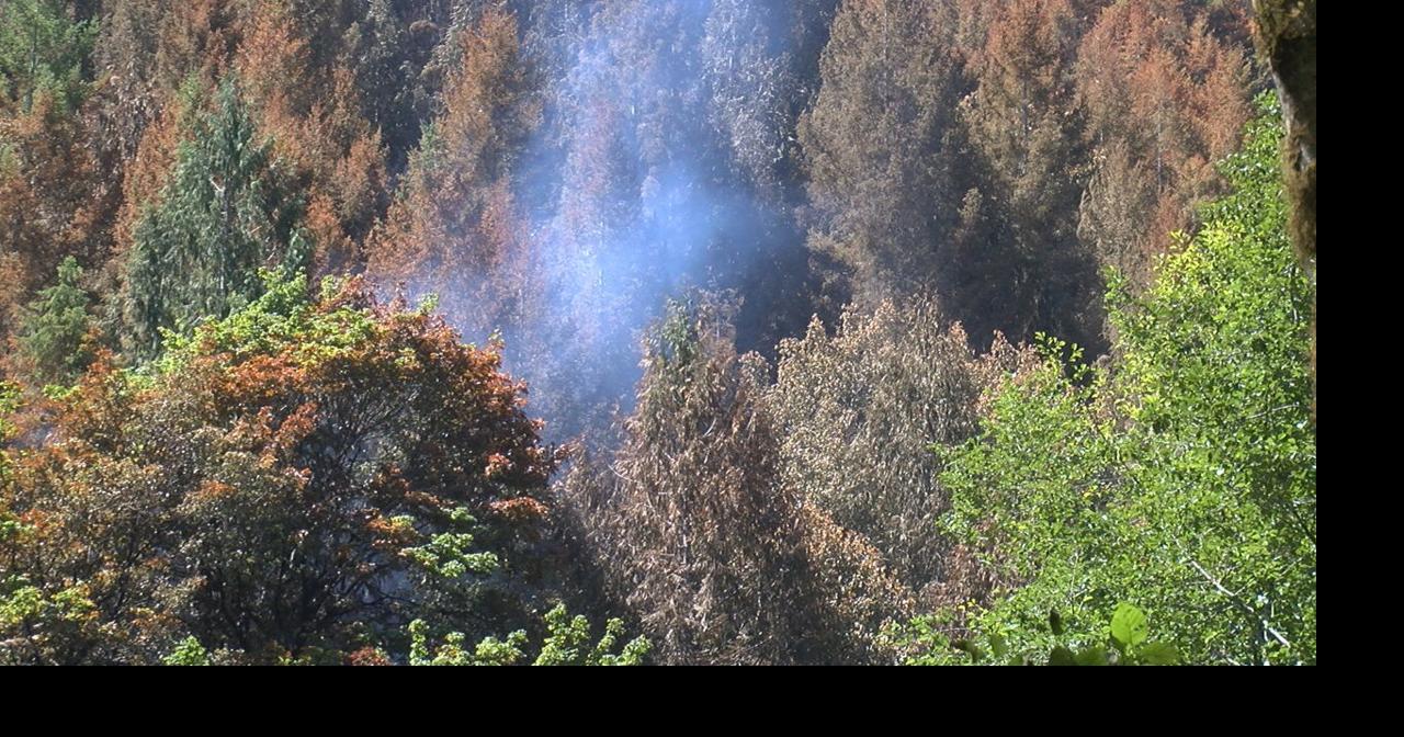 Crews continue to mop up Haight Creek Fire News