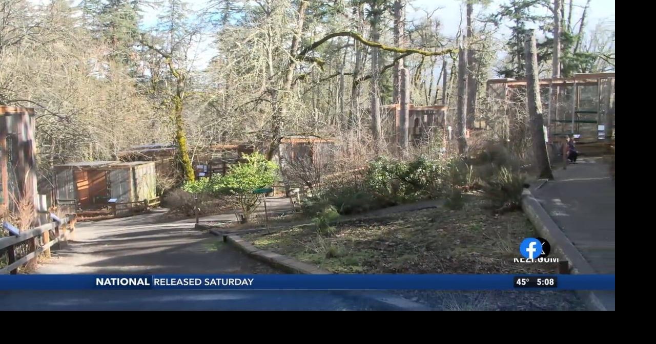 Cascades Raptor Center preparing for next ice storm | Video | kezi.com