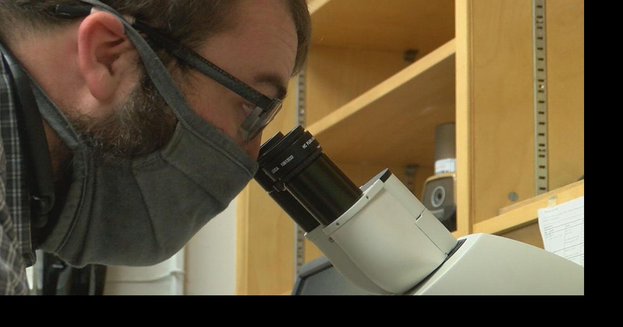 OSU making headlines with breakthrough research | News | kezi.com