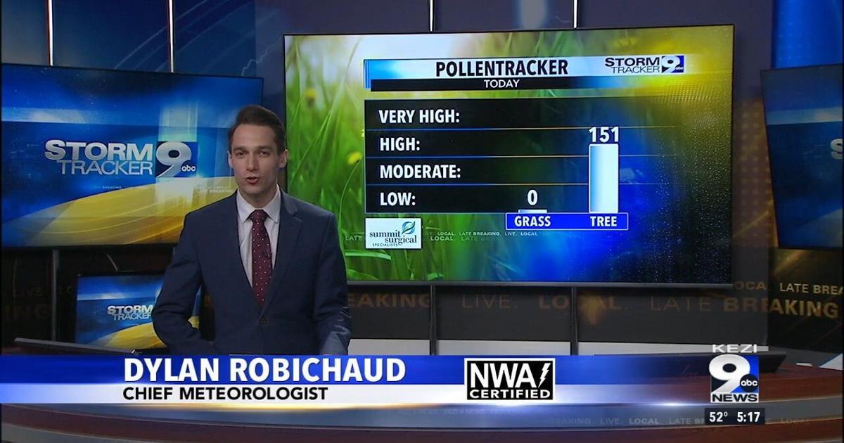 Tree pollen levels are high across Oregon | Video | kezi.com