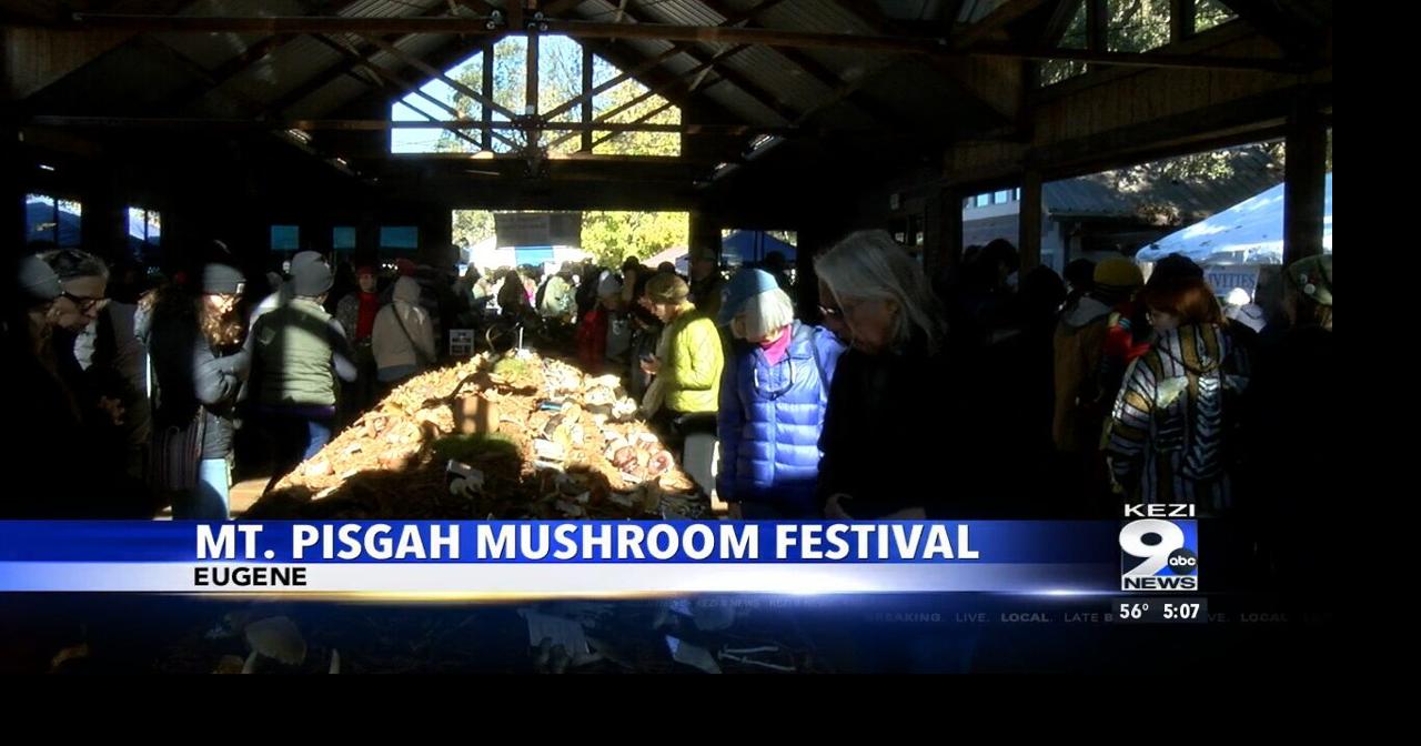 People come out for Mt. Pisgah Mushroom Festival Video