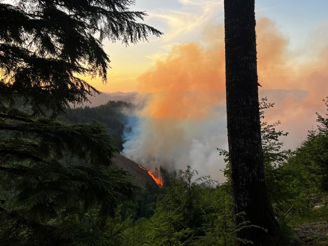 Crews make progress on lining wildfire southwest of News