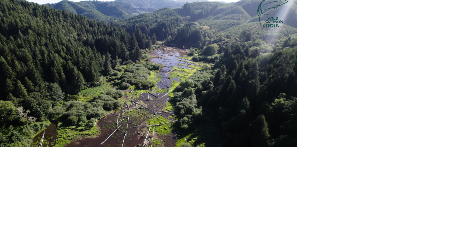 NOAA invests $12 million in Oregon salmon habitat restoration | Local ...