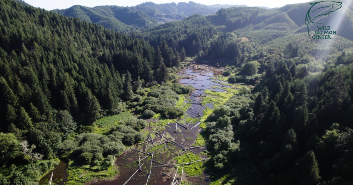 Local. Account Map NOAA invests $12 million in Oregon salmon habitat restoration | Local ...