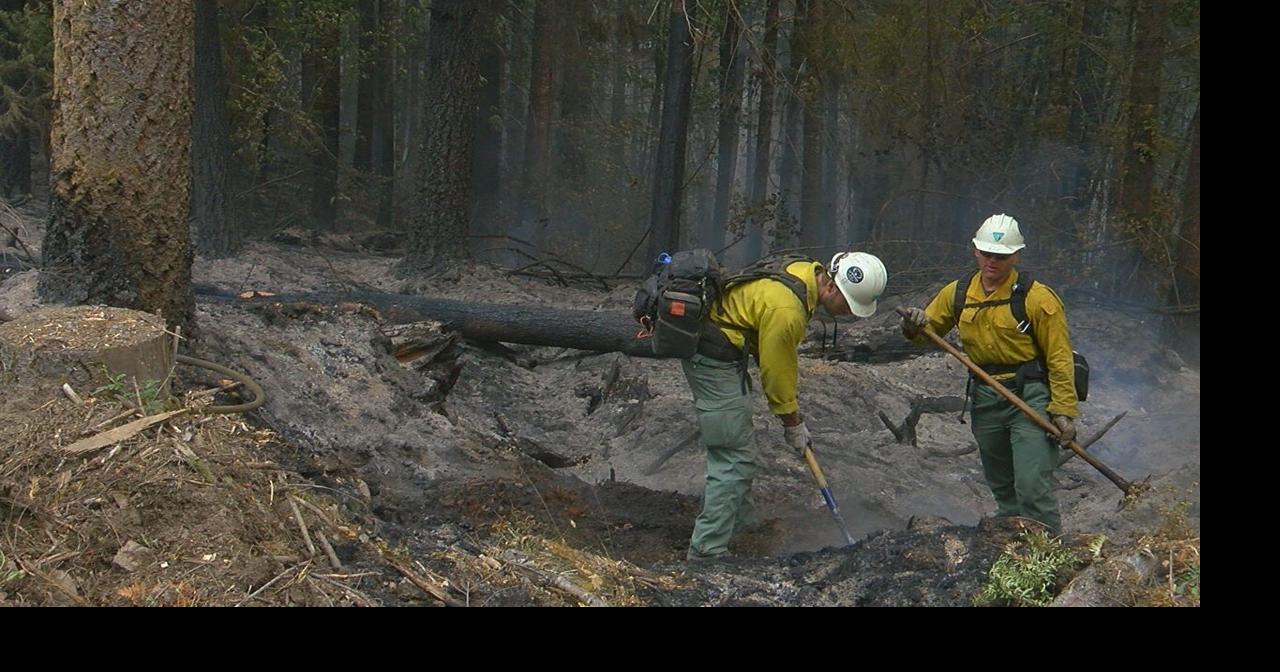 Crews work to find hazard trees as Cedar Creek Fire burns News