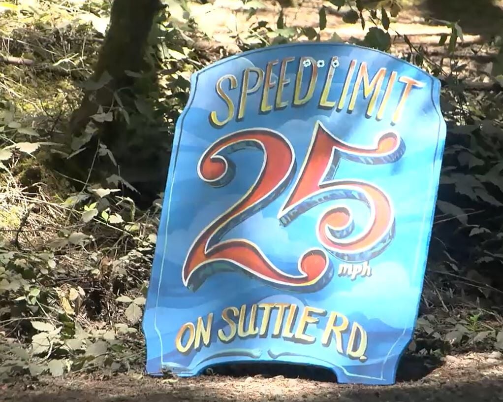 Veneta, Elmira communities prepare ahead of busy Oregon Country Fair  weekend | News | kezi.com