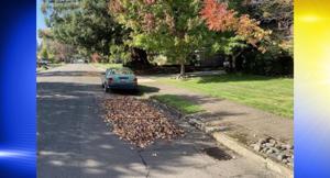 Free Leaf Drop Sites to Return to Corvallis This Fall