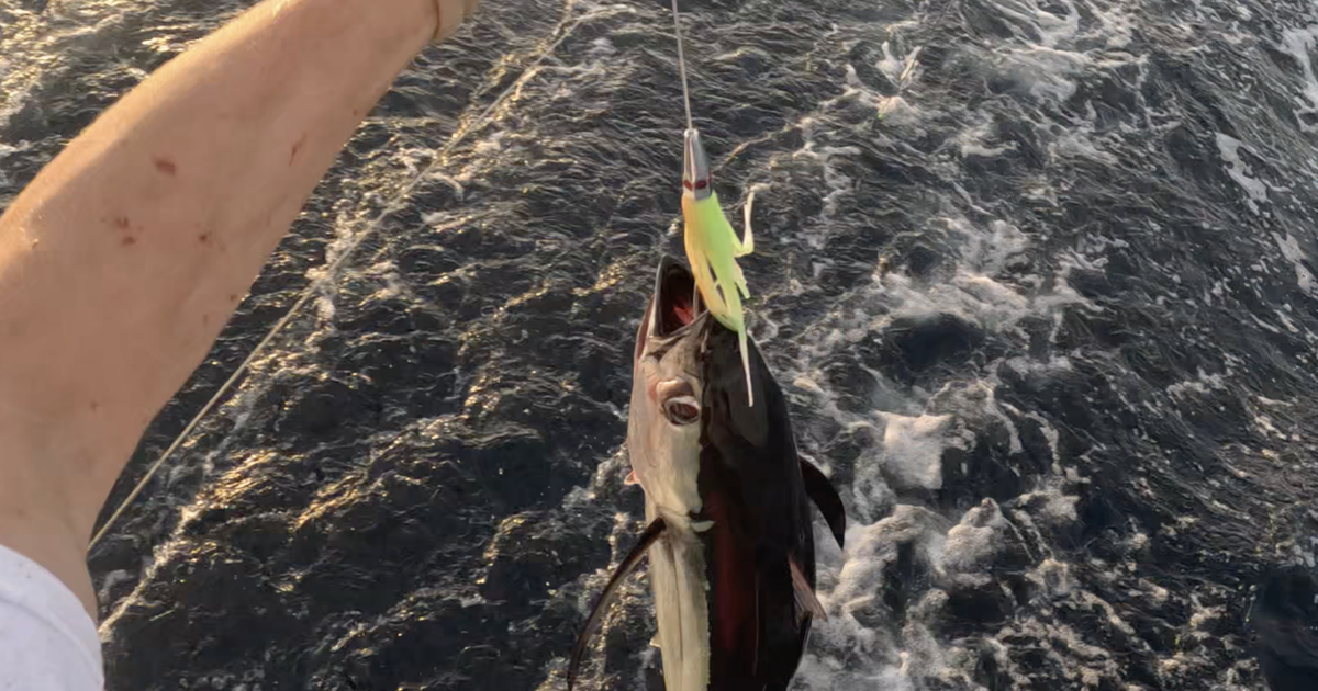 Florence celebrates Oregon Albacore Month with 10-day event