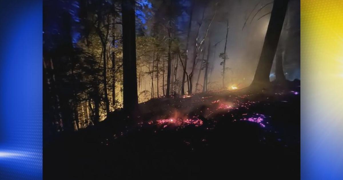 Oakridge ready for fire season as High Prairie Fire burns | News | kezi.com