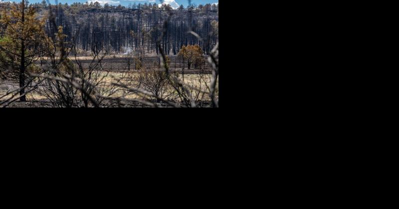 Oregon fire season to officially end in forests across the state - Vimarsana News