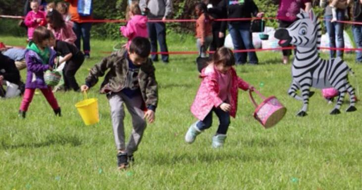 Registration open for Springfield egg hunt event - Vimarsana News