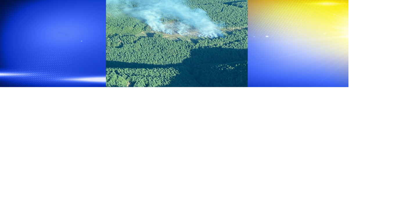 Douglas County fire crews respond to fire near Bear Creek | News | kezi.com