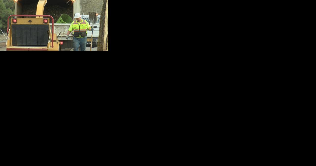 City, county officials say tree cleanup will take several months - Vimarsana News