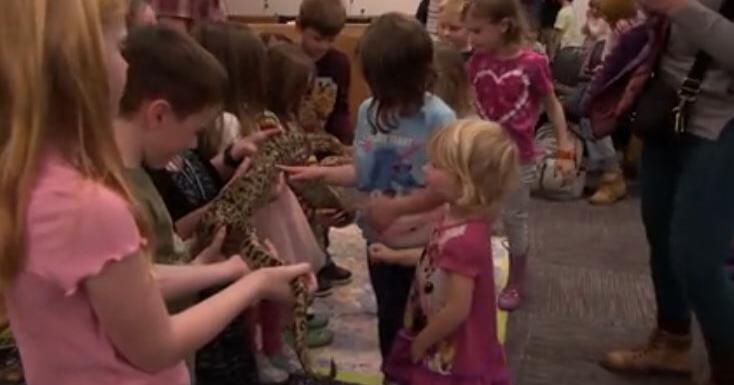Springfield library hosts reptile show for kids on spring break - Vimarsana News
