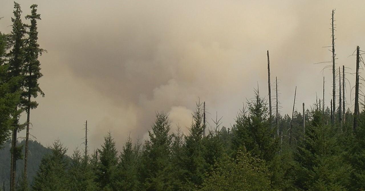 Campsites, trails closed until October due to Bedrock Fire - Vimarsana News