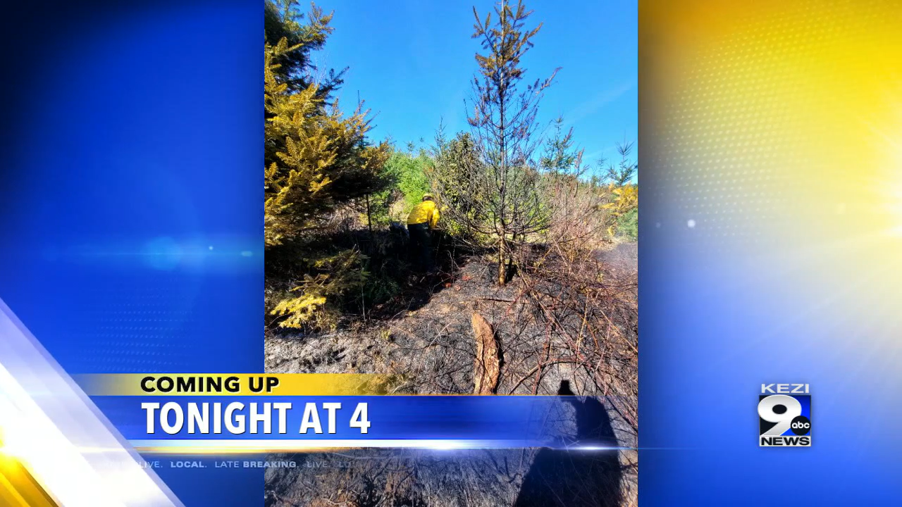 Coming Up On KEZI 9 News At 4: Brush Fires Popping Up In Sweet Home ...