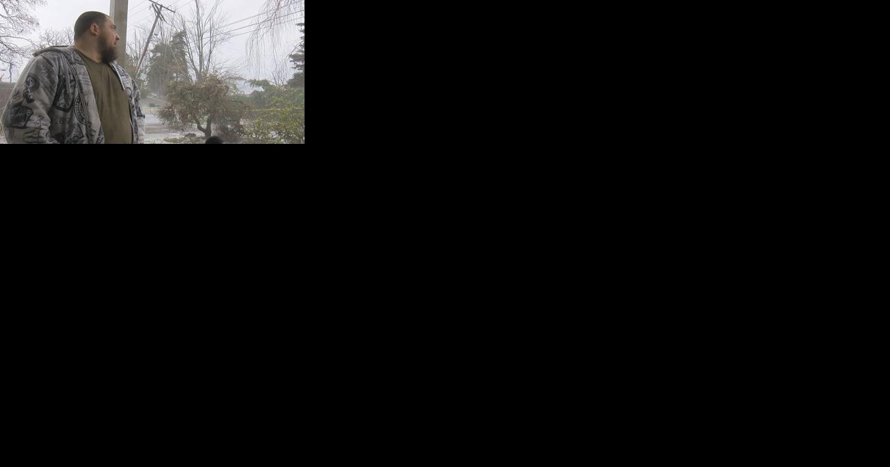Springfield neighbors demand transparency after days without power - Vimarsana News