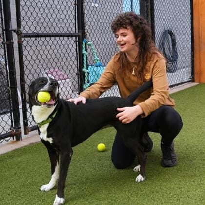 Cupcake loves to play and is all wiggles when she's happy!
