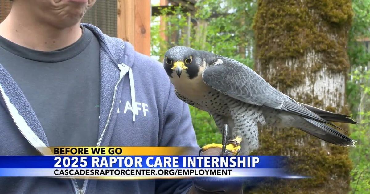 Cascade Raptor Cascades Raptor Center seeking summer 2025 interns | Video | kezi.com