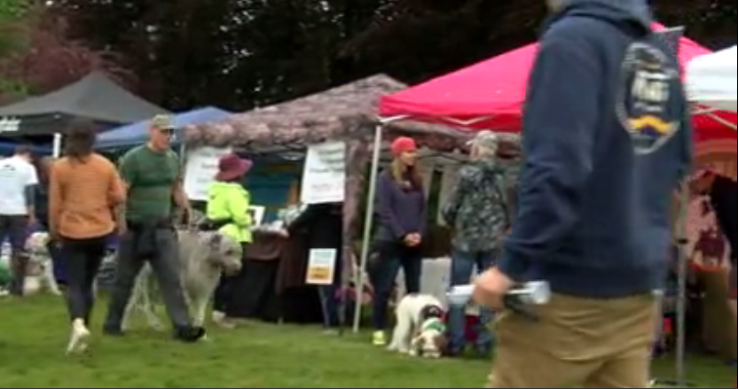 Bark in the Park 2023 - Greenhill Humane Society