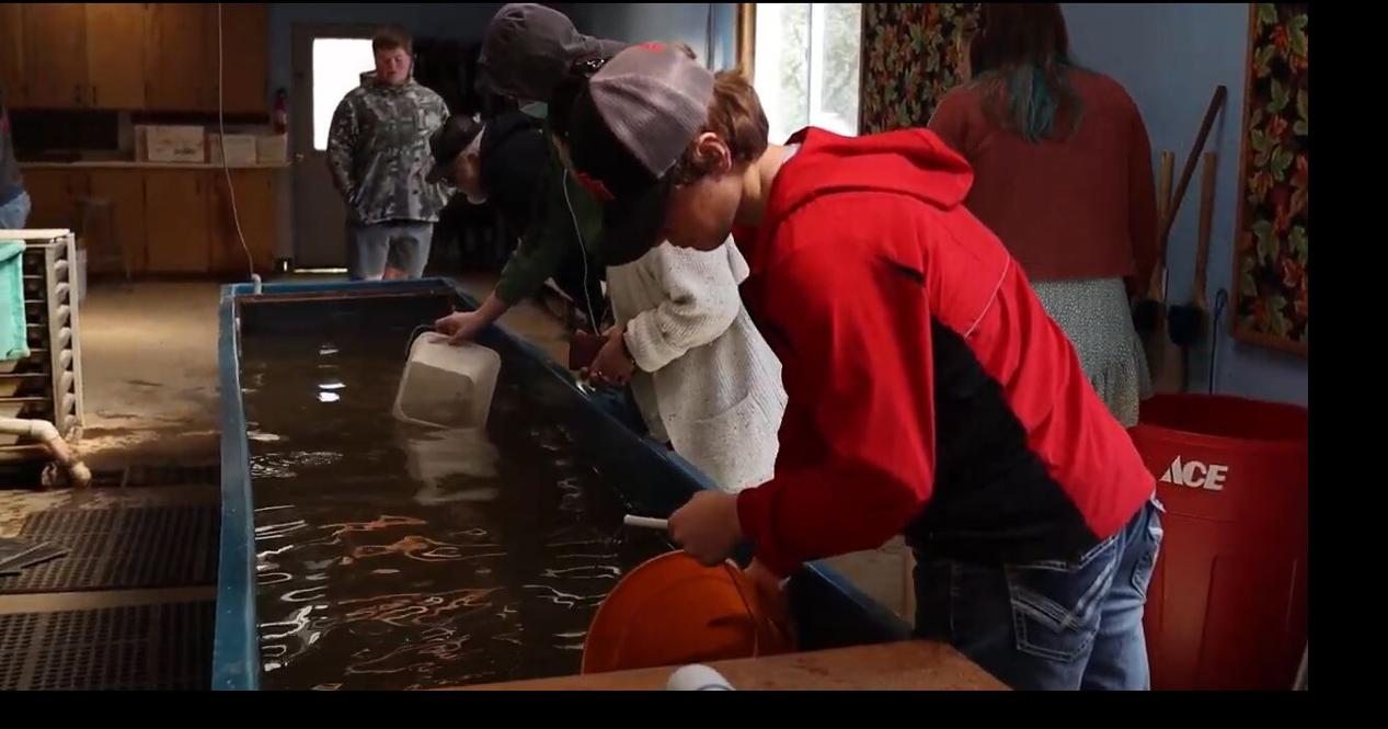 Salmon hatchery program returns for Coquille students News