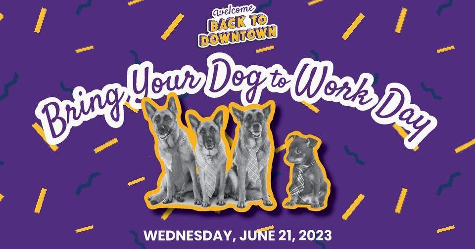 Downtown Spokane celebrates "Bring Your Dog to Work Day" - Vimarsana News