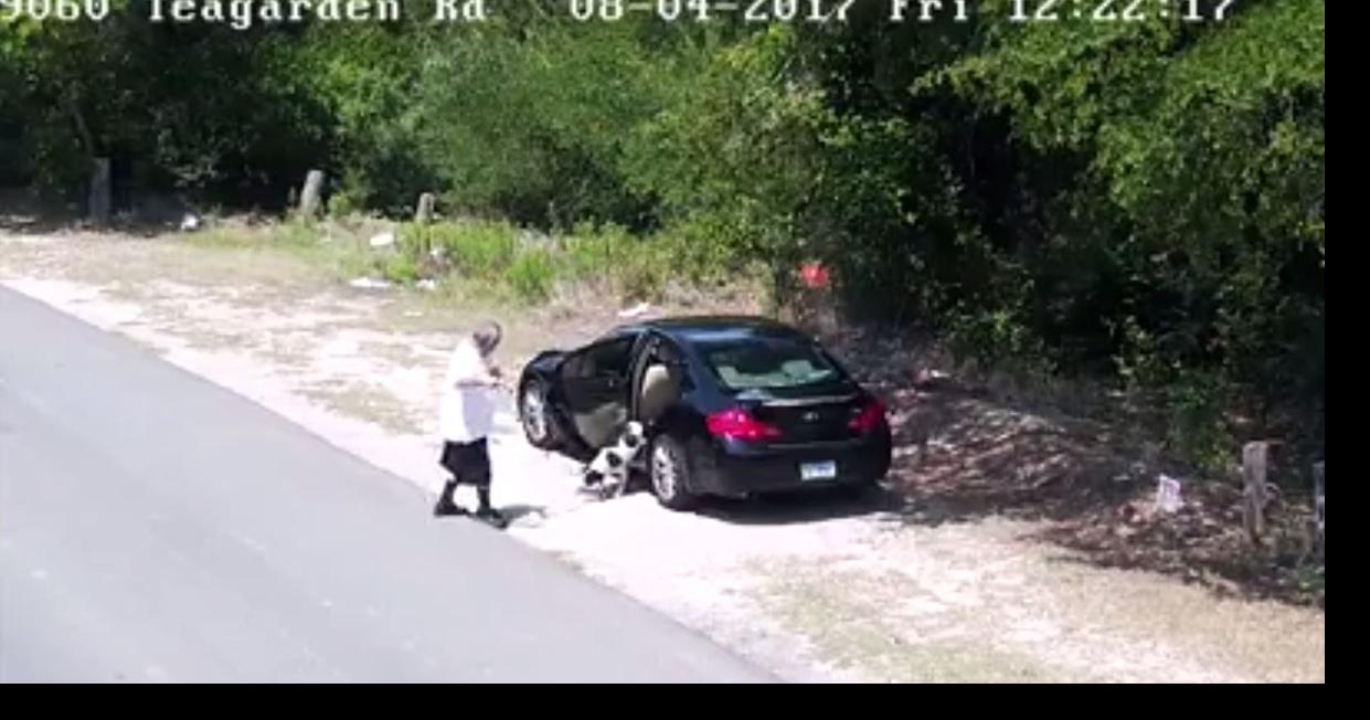 Texas man turns himself in after being caught on camera dumping dog on ...
