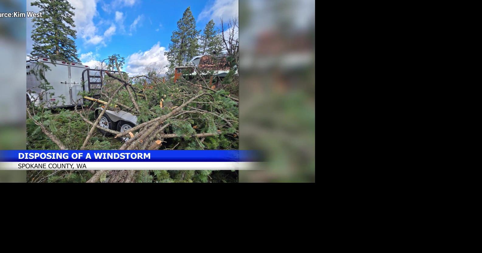 Cleaning up after a Windstorm: Where to put the debris | Spokane News ...