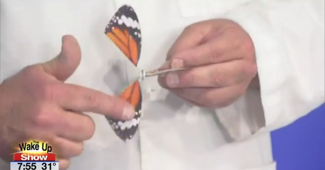 Extreme Science: Luftwiderstand und Spannung | Extreme Wissenschaft Extreme Science: Luftwiderstand und Spannung | Extreme Wissenschaft