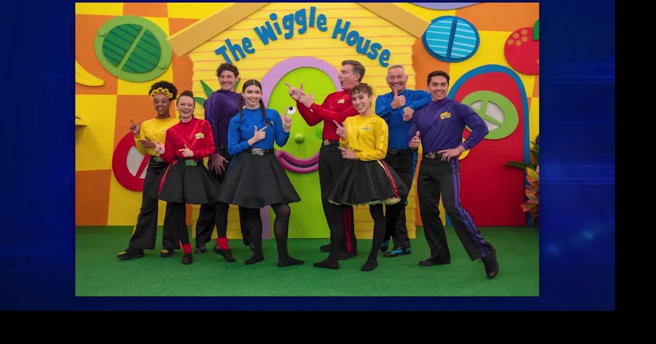 Get Ready to Wiggle: former CEO sues the Wiggles children's music group and blue Wiggle
