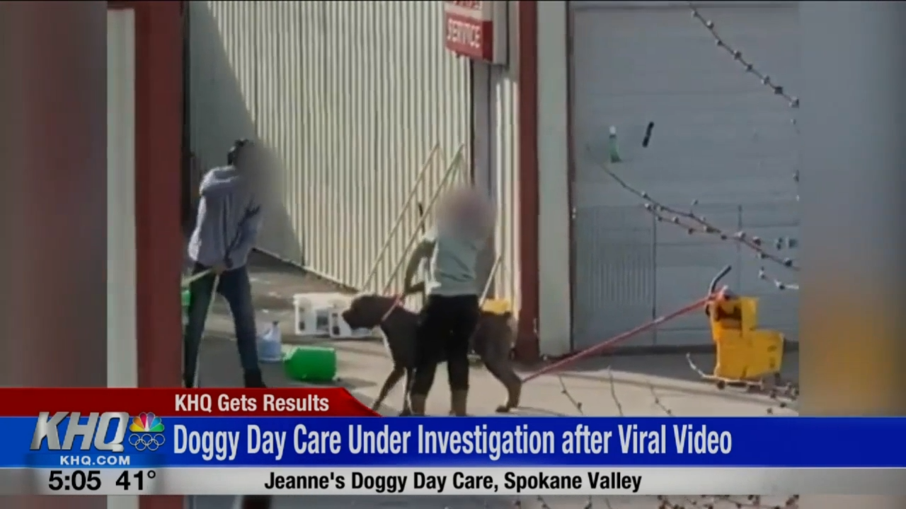 FIRST ON KHQ SCRAPS investigating Spokane Valley dog day care
