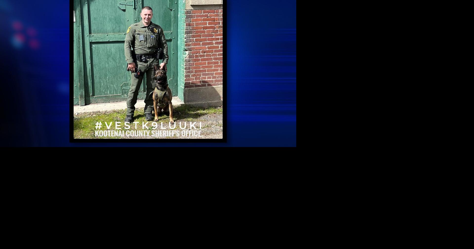 K9 Luuki from the Kootenai County Sheriff #39 s Office raising money for